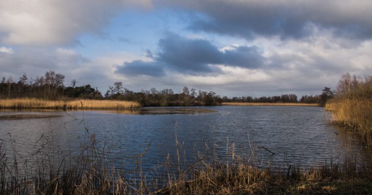 Natuurgebied Hageven in Neerpelt: ideaal voor vogelspotters